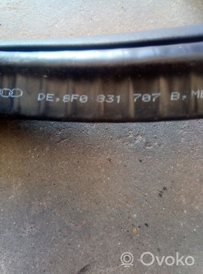 Audi S5 Priekinė sandarinimo guma ant kėbulo 