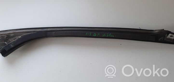 Audi A5 Rubber seal front coupe door window 