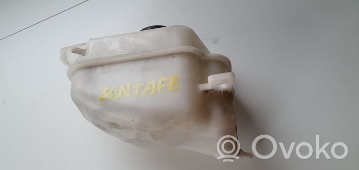 Hyundai Santa Fe Serbatoio di compensazione del liquido refrigerante/vaschetta 