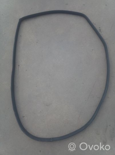 Honda CR-V Rear door rubber seal (on body) 