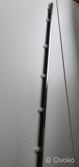 Honda Accord Rivestimento della portiera anteriore (modanatura) 