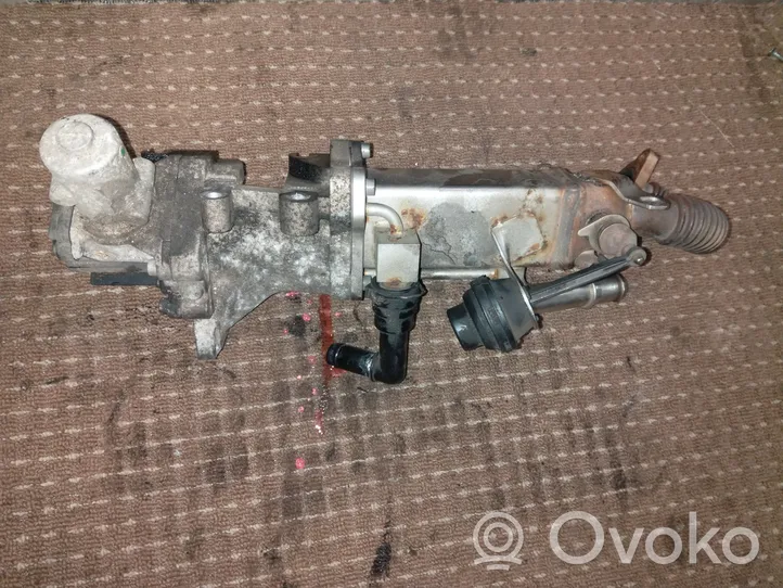 Peugeot 4007 Valvola di raffreddamento EGR 