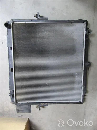 Nissan Pathfinder R51 Radiatore del carburatore (radiatore) 