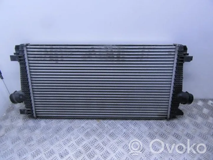 Opel Zafira B Degalų aušintuvas (radiatorius) 13267647