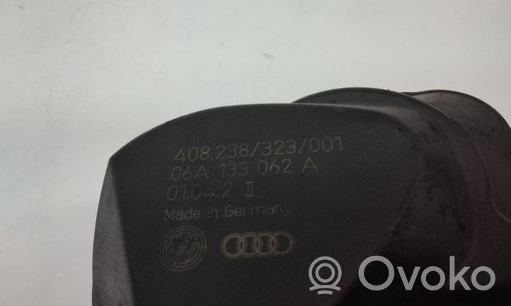 Volkswagen New Beetle Zawór przepustnicy 06A133062A