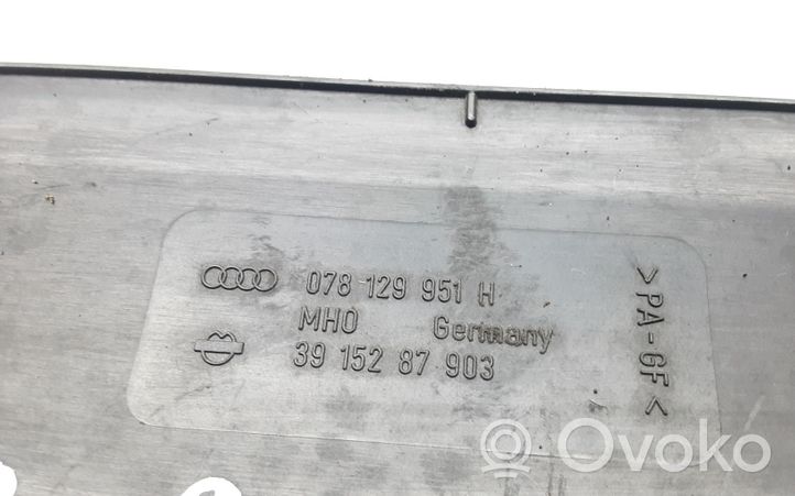 Audi A6 S6 C4 4A Intake resonator 078129951H