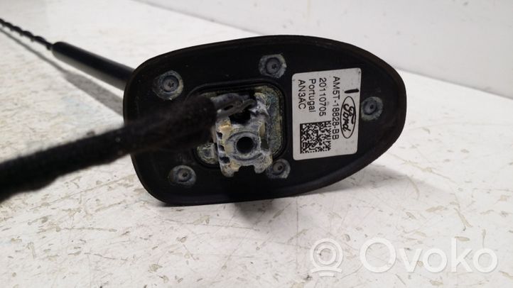 Ford Focus Antenne radio AM5T18828BB