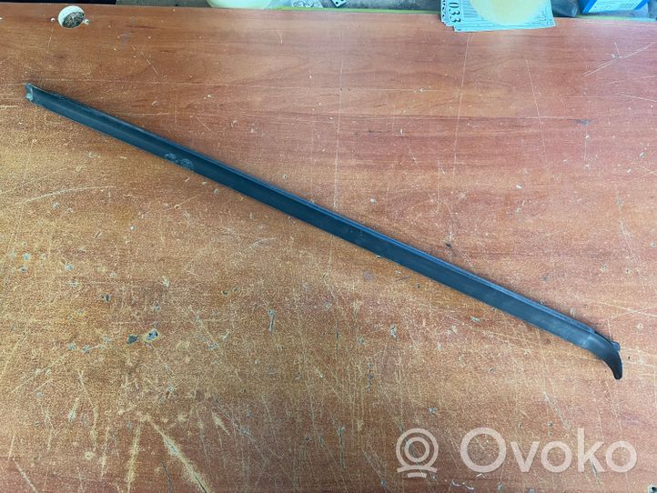 Volvo S60 Front door glass trim molding 