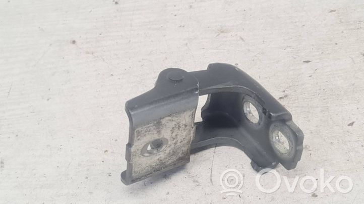 Renault Megane III Rear door lower hinge 804200003