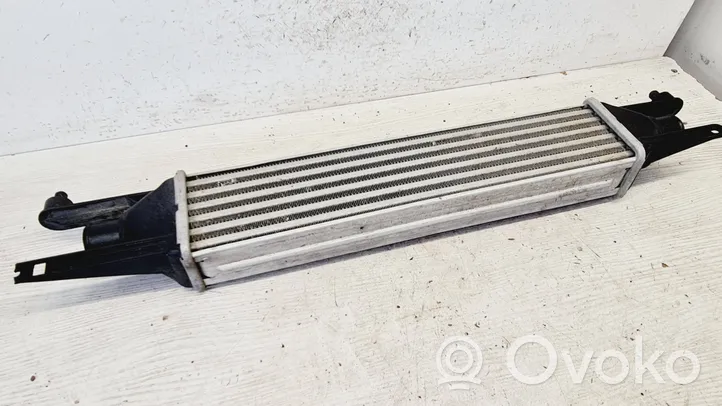 Fiat Punto (188) Chłodnica powietrza doładowującego / Intercooler 8A0050000