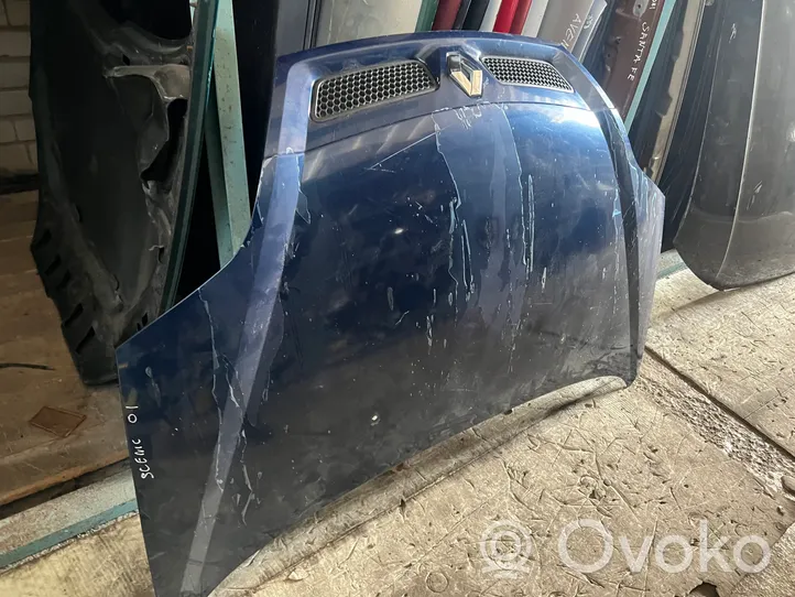 Renault Scenic I Engine bonnet/hood 