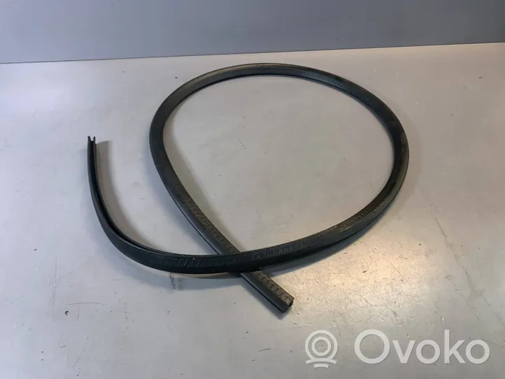 BMW 5 GT F07 Sliding door rubber seal 51767233913