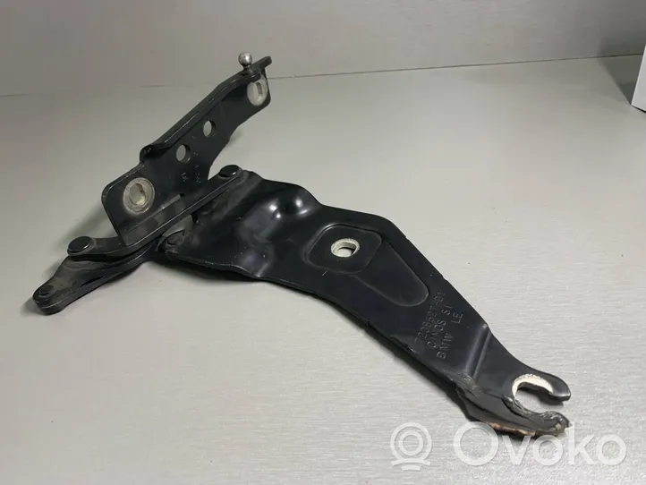 BMW X5 E70 Cerniere del vano motore/cofano 7208627