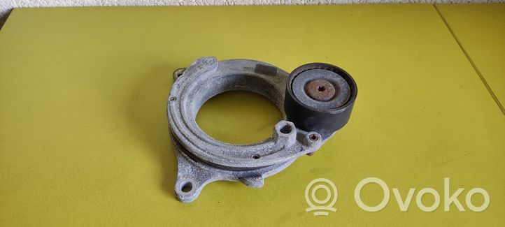 BMW X1 F48 F49 Tensor de correa del alternador 8580360