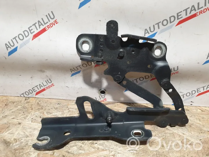 BMW 4 F32 F33 Cerniere del vano motore/cofano 7336699