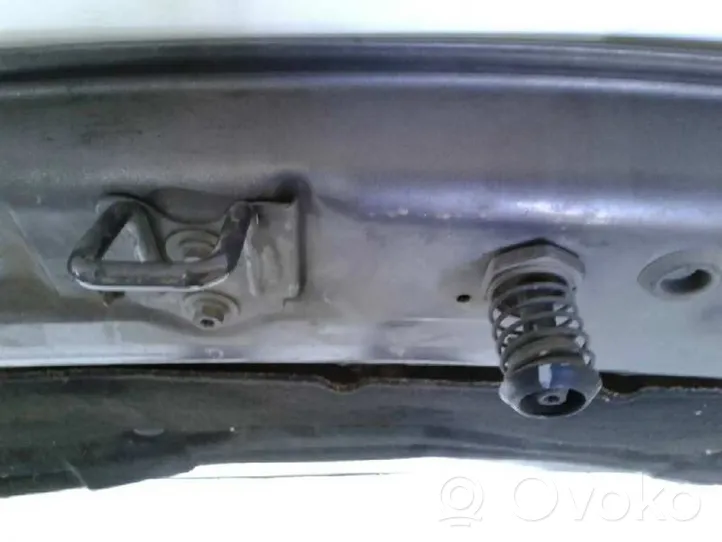 Renault Scenic RX Dangtis variklio (kapotas) 7751474289