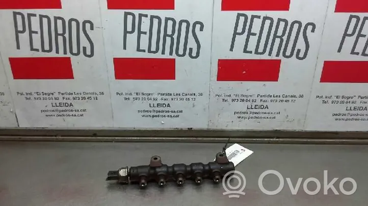 Citroen C3 Pluriel Mono iniettore 9654592680