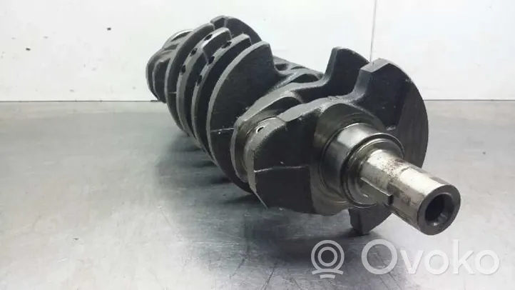 Citroen Saxo Crankshaft J21