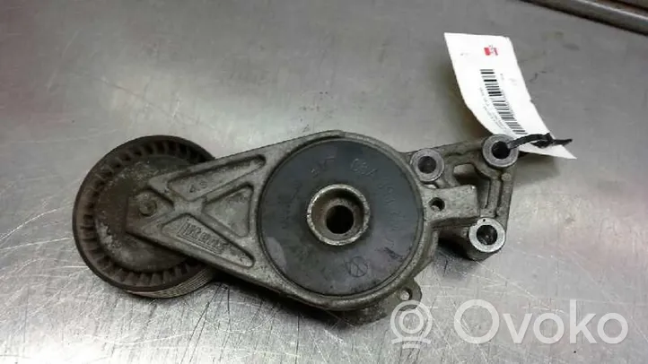 Seat Leon (1M) Tensor de correa del alternador 06A903315E