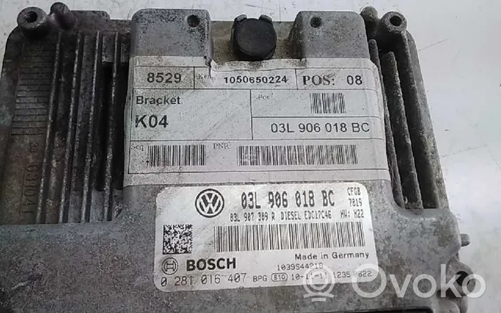 Volkswagen Scirocco Moottorin ohjainlaite/moduuli 03L906018BC