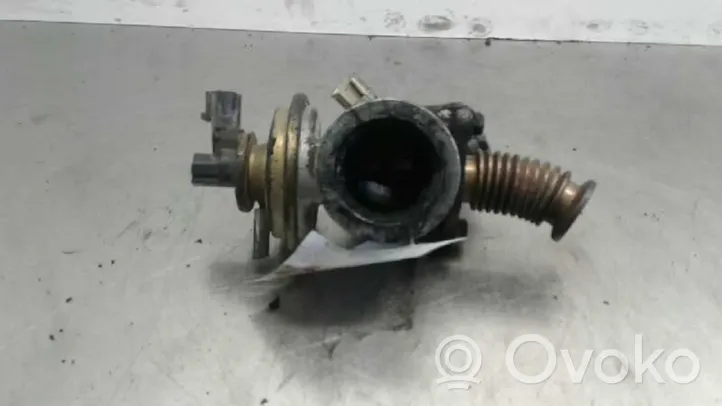 Ford Fiesta EGR valve 