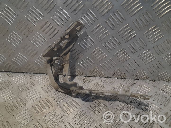 BMW X5 E53 Cerniere del vano motore/cofano 8402173