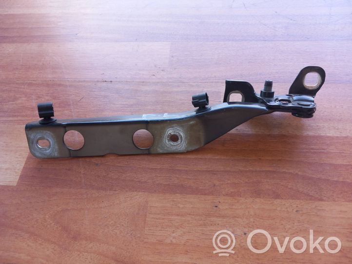 Citroen C4 II Picasso Vyris (-iai) variklio dangčio 9676115080