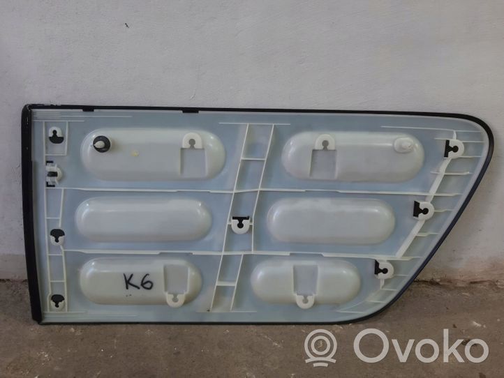 Citroen C4 Cactus Rear door trim (molding) 9801023680