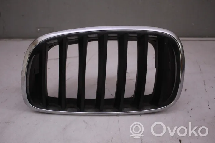 BMW X6 E71 Front grill NERKA