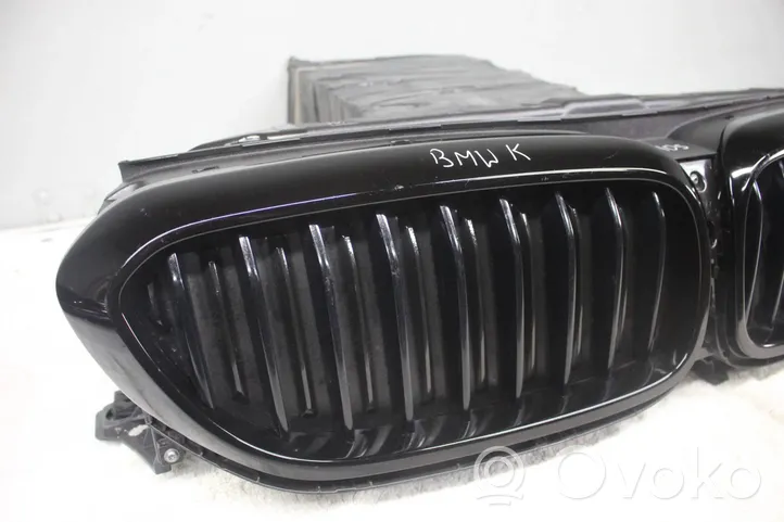 BMW 5 G30 G31 Grille calandre de capot 