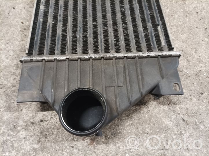 Mercedes-Benz ML W163 Intercooler radiator 