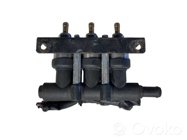 Volkswagen Phaeton LP gas injector 67R016409