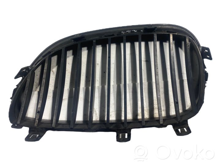 BMW X5 E53 Maskownica / Grill / Atrapa górna chłodnicy 