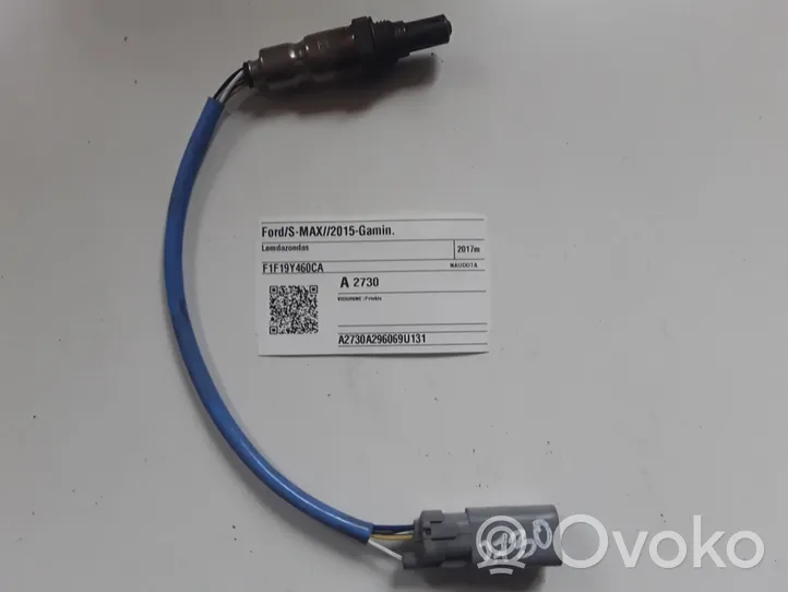 Ford S-MAX Sonde lambda F1F19Y460CA