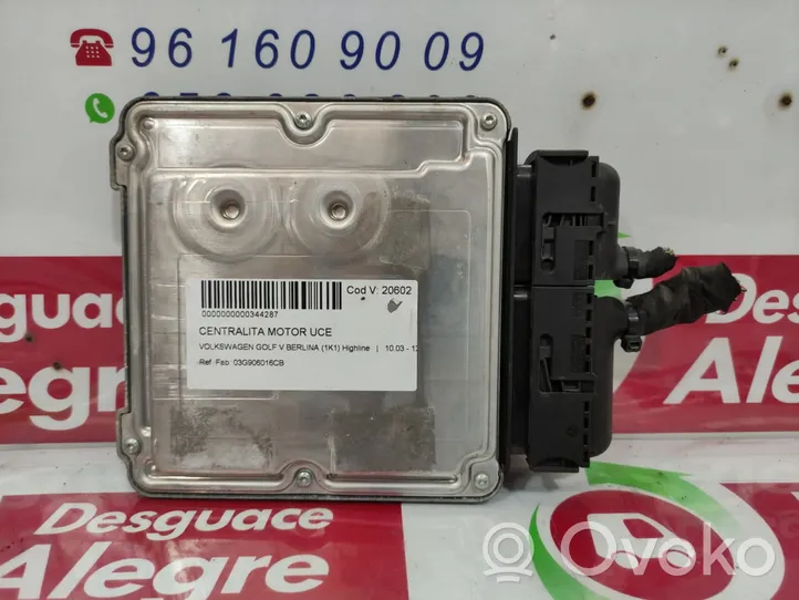 Volkswagen Golf V Sterownik / Moduł ECU 03G906016CB