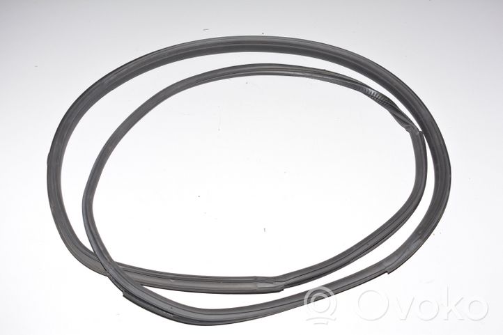 BMW i3 Front door rubber seal 