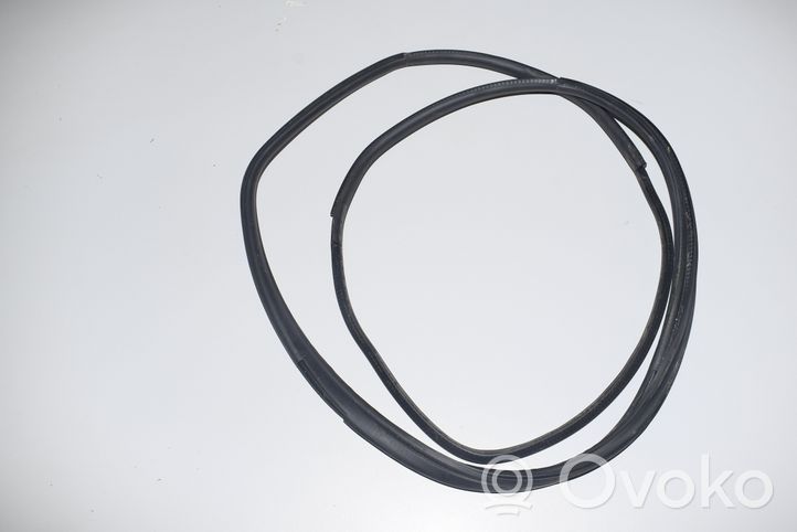 BMW i3 Front door rubber seal 