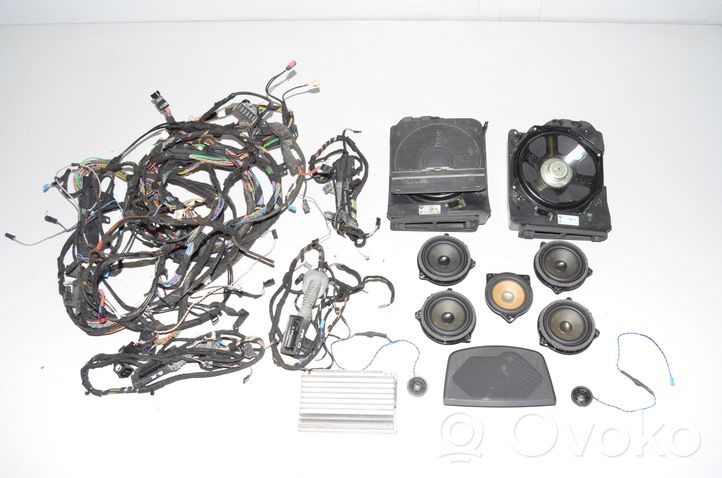 BMW 3 F30 F35 F31 Zestaw audio 9210150