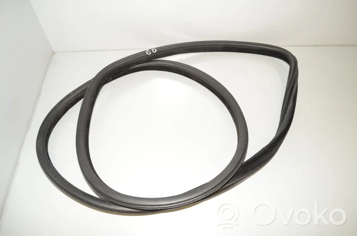 BMW X6 F16 Rubber seal rear door 7317812