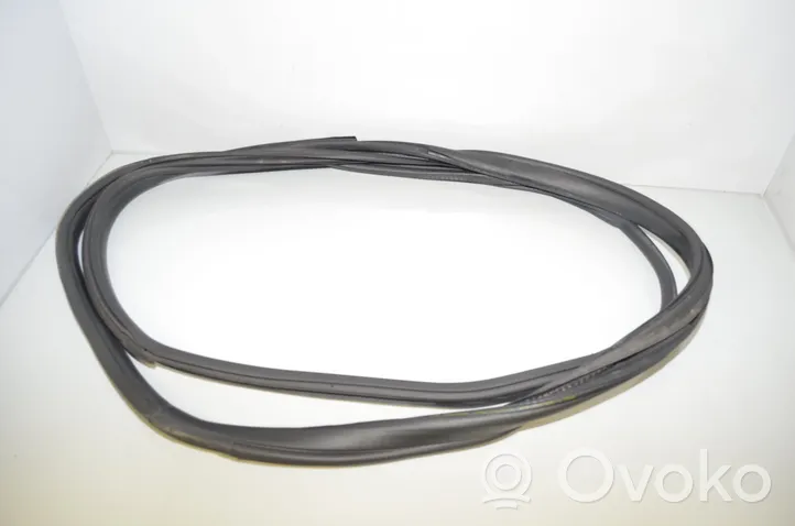 BMW i3 Front door rubber seal 7301742