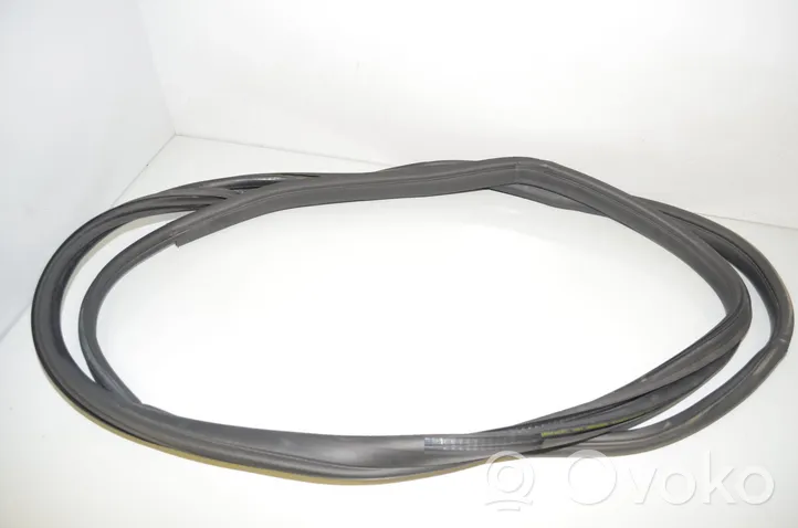 BMW i3 Front door rubber seal 7301742