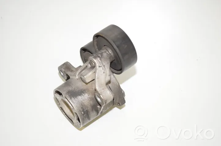 BMW X3 F25 Tensor de correa del alternador 7810807