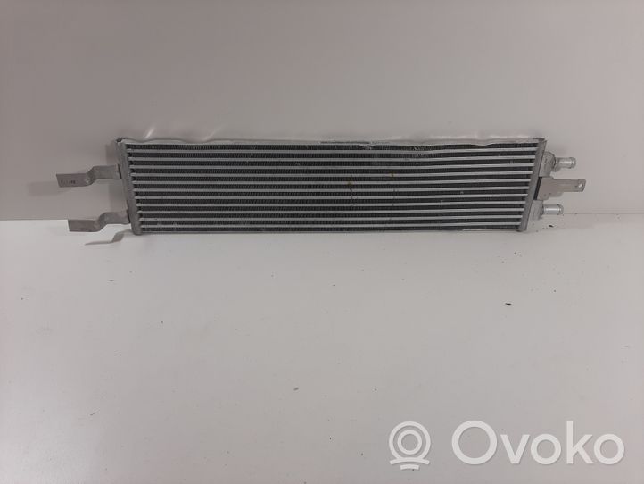 Volvo XC40 Radiatore opzionale P32222121