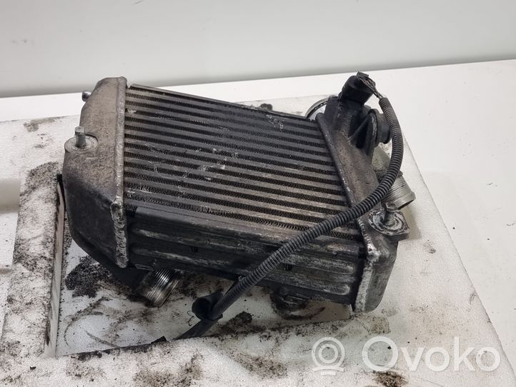 Audi A8 S8 D3 4E Radiatore intercooler 