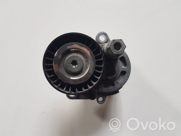 Nissan Rogue Napinacz paska alternatora 119554BA0A