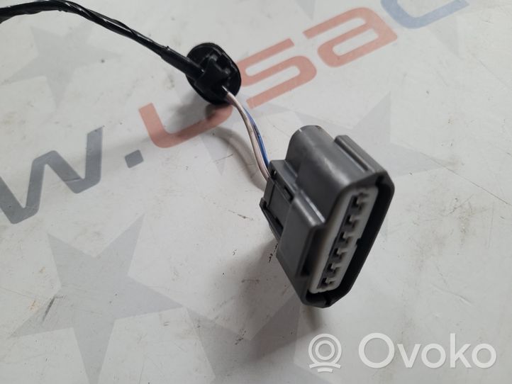 Nissan Rogue Aizmugurējo durvju vadu instalācija 241264BA0A