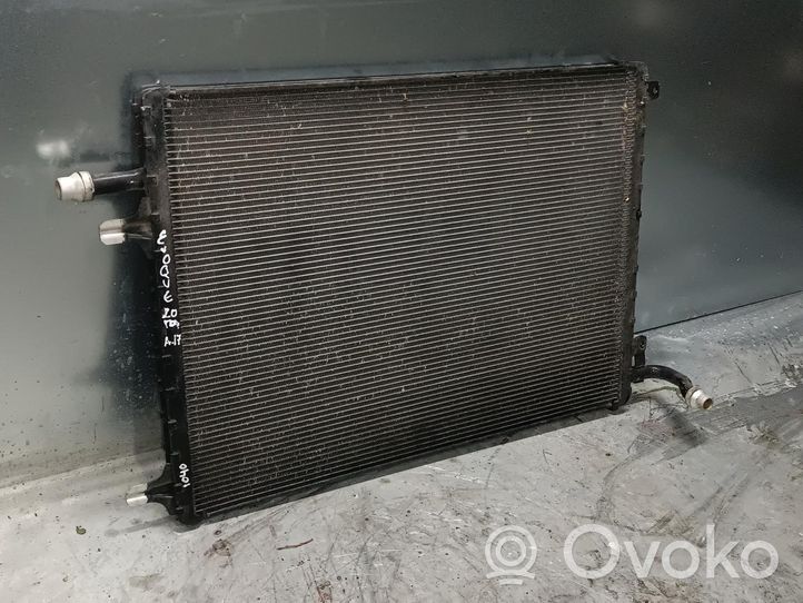 Land Rover Evoque I Dzesēšanas šķidruma radiators GJ3219E839BC