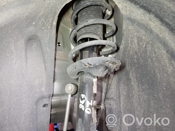 Volkswagen Tiguan Front shock absorber/damper 