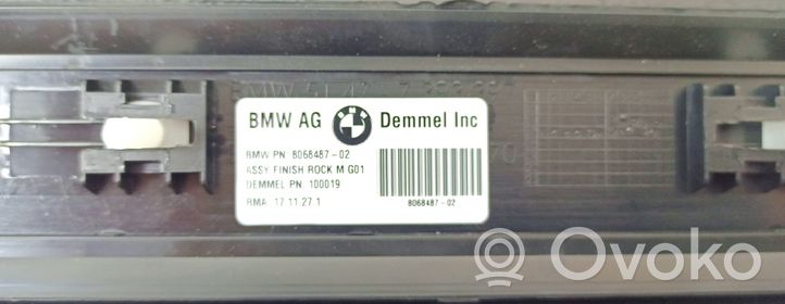 BMW X4 G02 Etuoven kynnyksen suojalista 020802