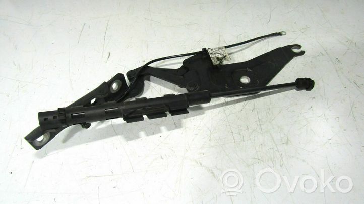 BMW X5 E70 Cerniere del vano motore/cofano 016496